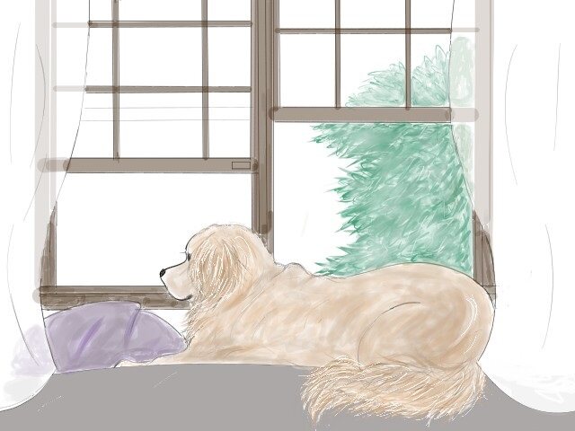 ペットと窓辺について | ジャストカーテン公式ブログ ペットと快適に暮らす部屋作りのメゾット。
