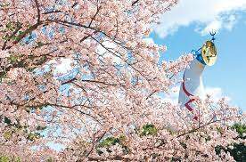 新生活に新しいカーテンを🌸