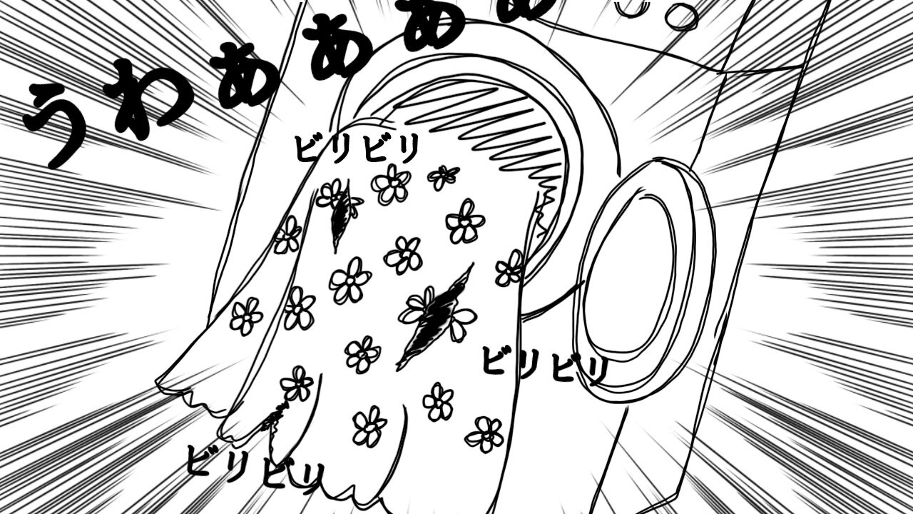 カーテンを洗濯したら裂けてしまった……！！！！！！