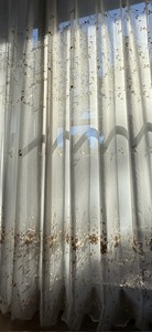投稿者名