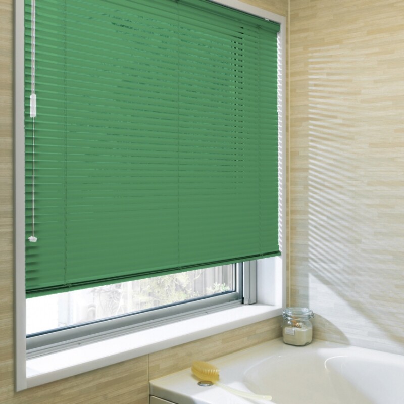 aluminumblind_basic_bathwindow_1_2248.jpg