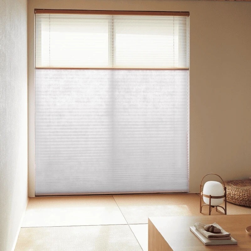pleats_basic1_1_5201.jpg