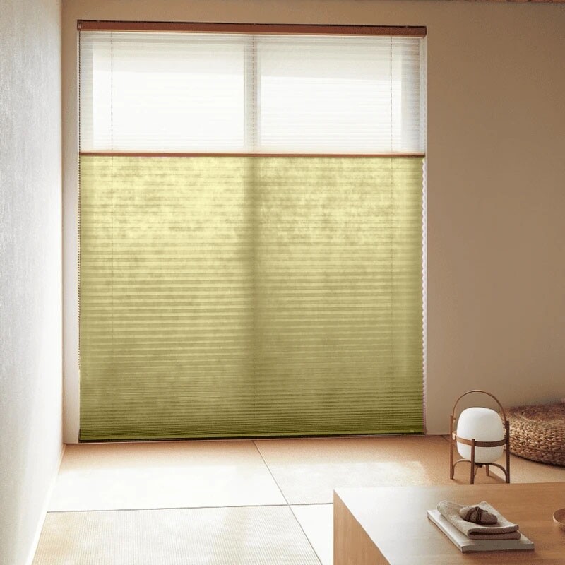 pleats_basic1_1_5215.jpg