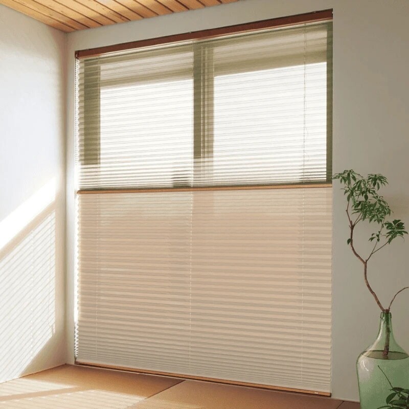 pleats_basic2_1_5355.jpg