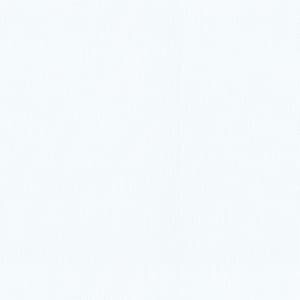 非遮光裏地 生地サンプル J-19218 ホワイト