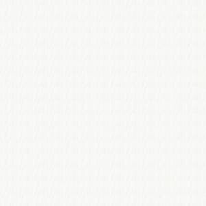 ガーゼラ 生地サンプル J-94025 ホワイト