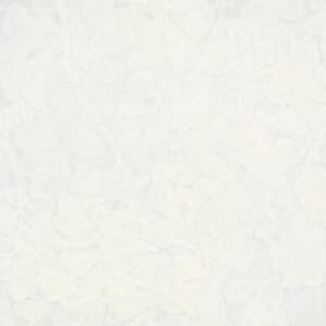 セーニャ レースカーテン P-92016 ホワイト