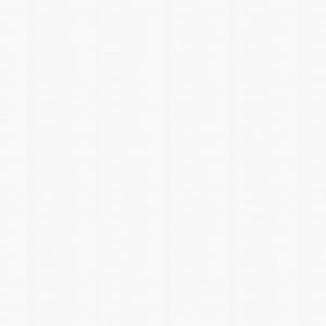 ゴーシュ レースカーテン P-97006 ホワイト