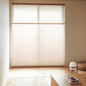 pleats_basic1_1_5202.jpg