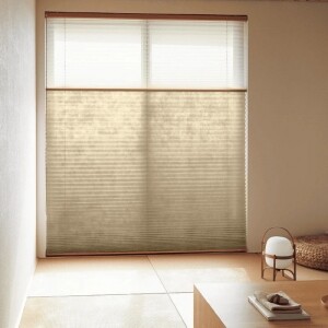 pleats_basic1_1_5205.jpg