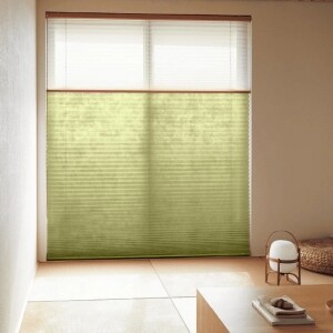 pleats_basic1_1_5217.jpg