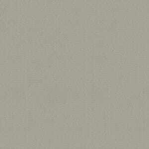 ダルウォームグレイ