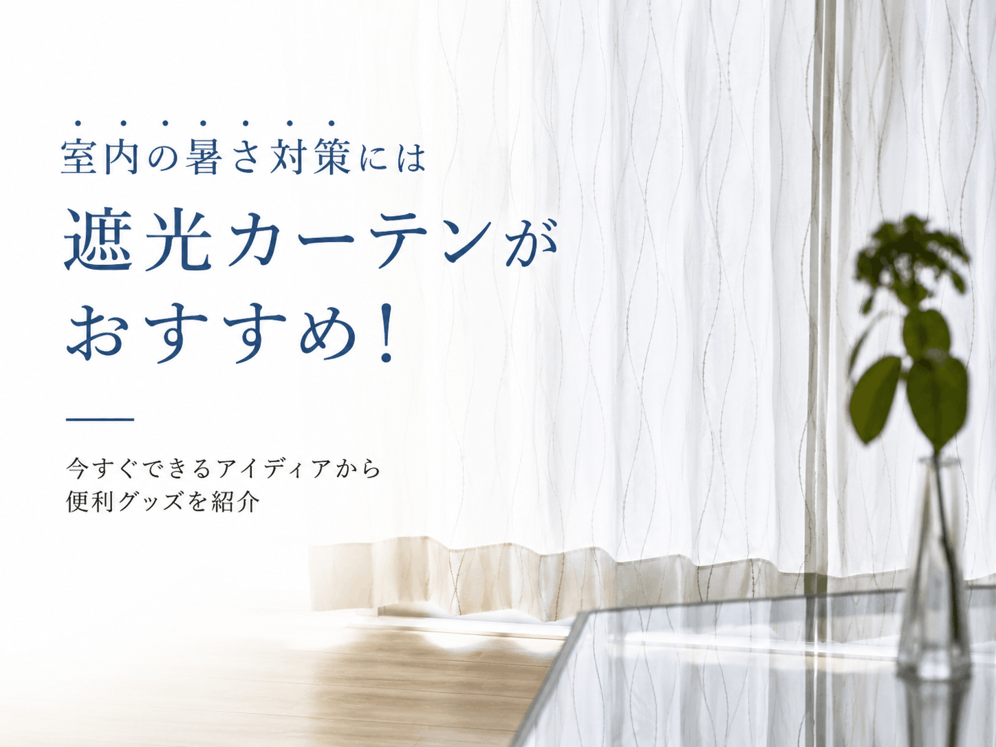 カーテンのご案内をする店員の写真