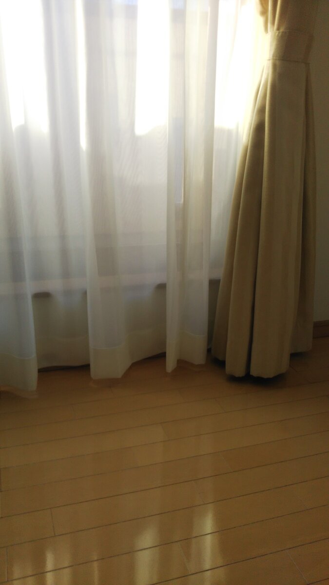【遮像・採光・UVカット・保温】バリエックスα レースカーテン J-47001 ホワイト