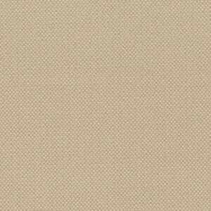 クラウディサンド