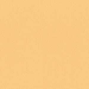 ライトアプリコット