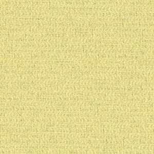 ライムイエロー