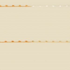 オレンジ