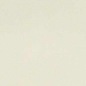 アイボリー アイボリー