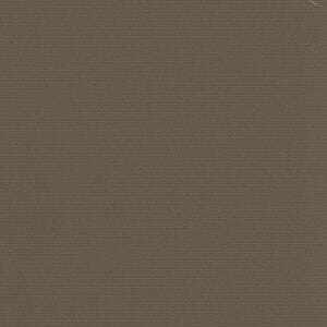 ゼビアブラウン ゼビアブラウン