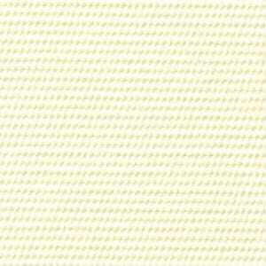 イエローアイボリー イエローアイボリー