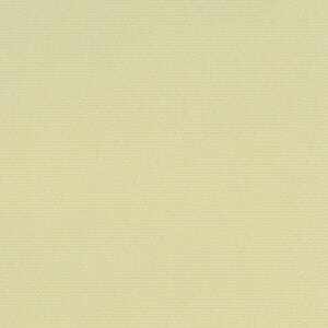 スプリンググリーン スプリンググリーン