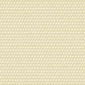 イエローアイボリー イエローアイボリー