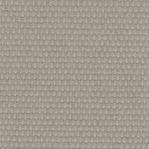 グレージュ グレージュ