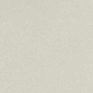 アイボリー アイボリー