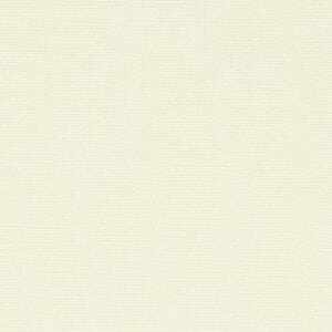 ベージュ ベージュ