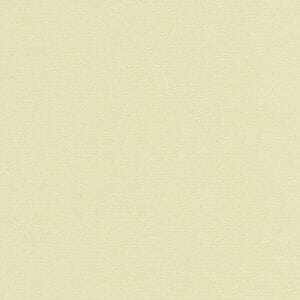 ライムグリーン ライムグリーン