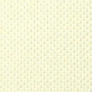 イエローアイボリー イエローアイボリー