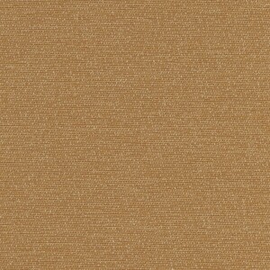 パンプキンオレンジ パンプキンオレンジ