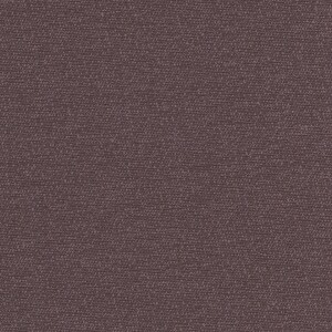 バイオレット バイオレット