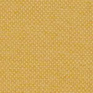 マスタード マスタード