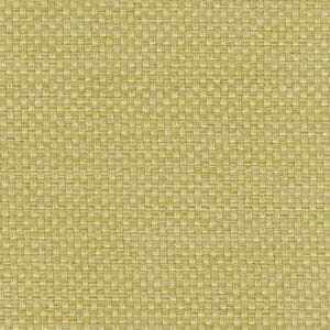 ピスタチオ ピスタチオ