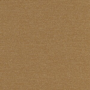 パンプキンオレンジ パンプキンオレンジ