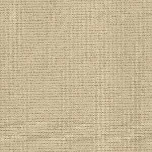 アイボリー アイボリー