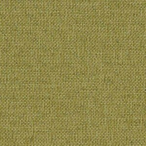 オリーブ オリーブ