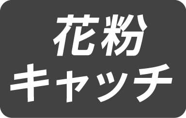 花粉キャッチ